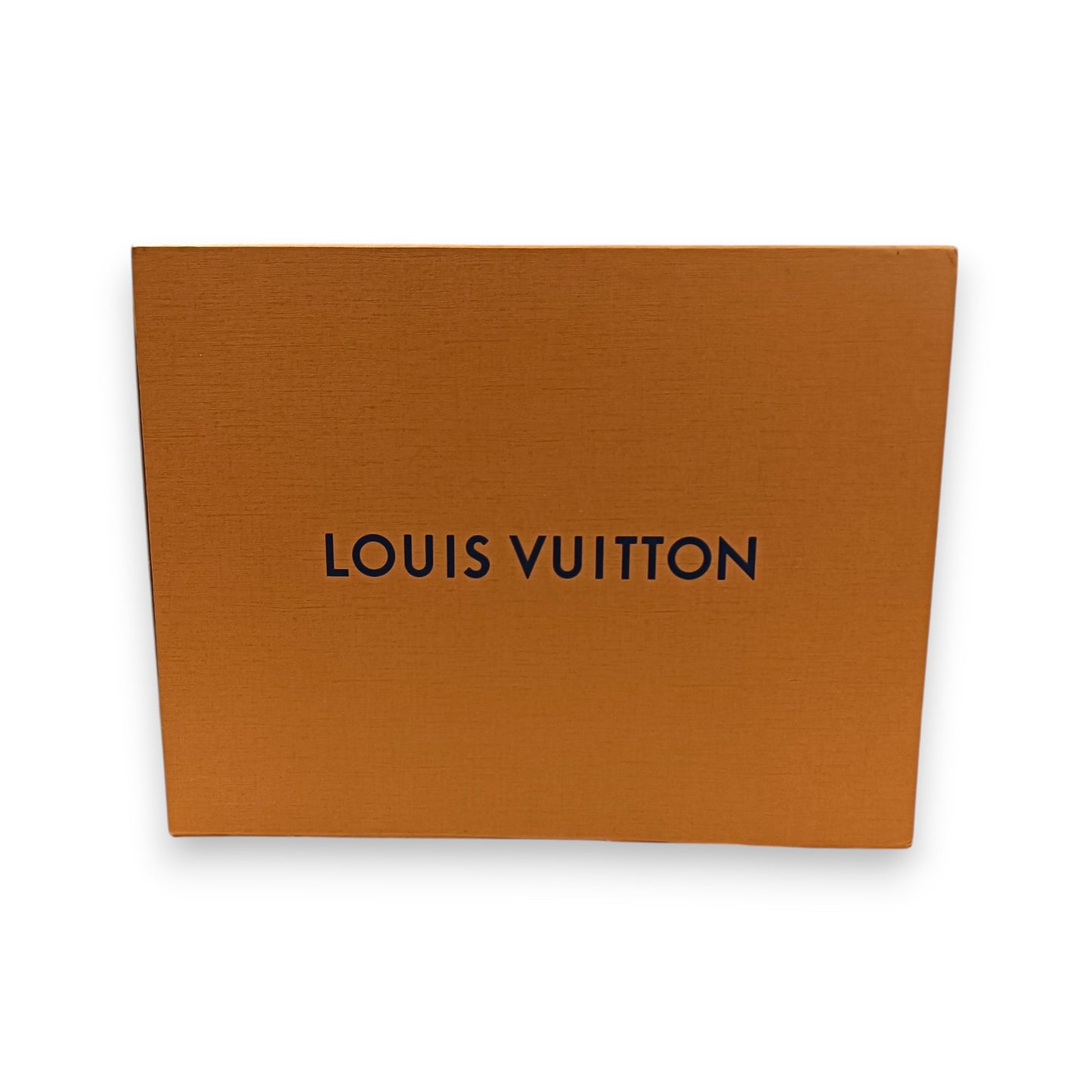 LOUIS VUITTON Boots Size 9 Mens Black Rank (B) DI 0280