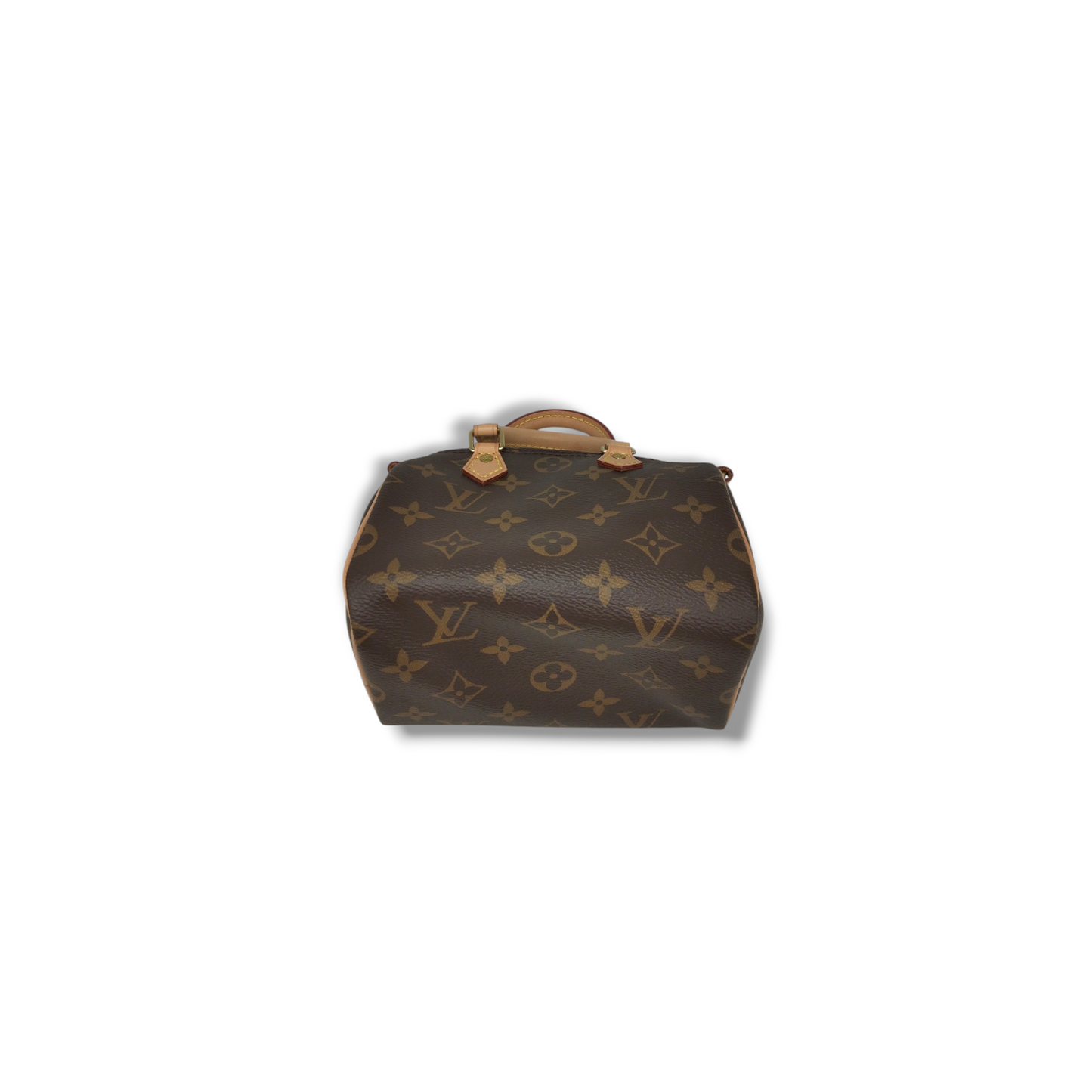 LOUIS VUITTON 2WAY SHOULDER BAG M61252 BROWN TY2270 NANO SPEEDY RANK (A)