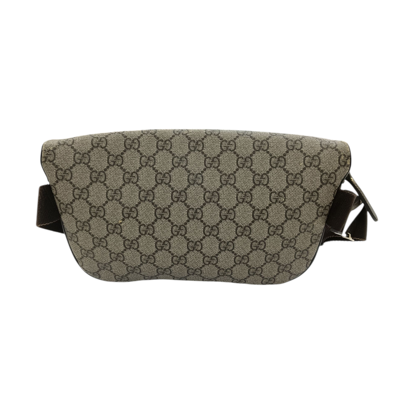 Gucci Waist Bag 233269