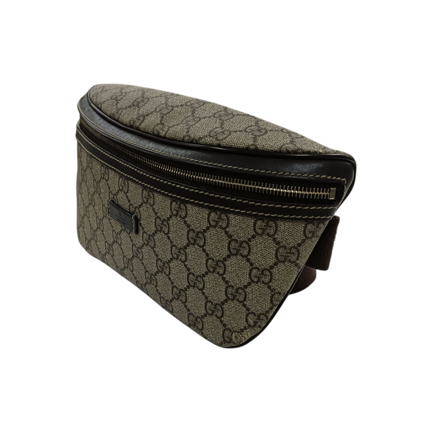 Gucci Waist Bag 233269
