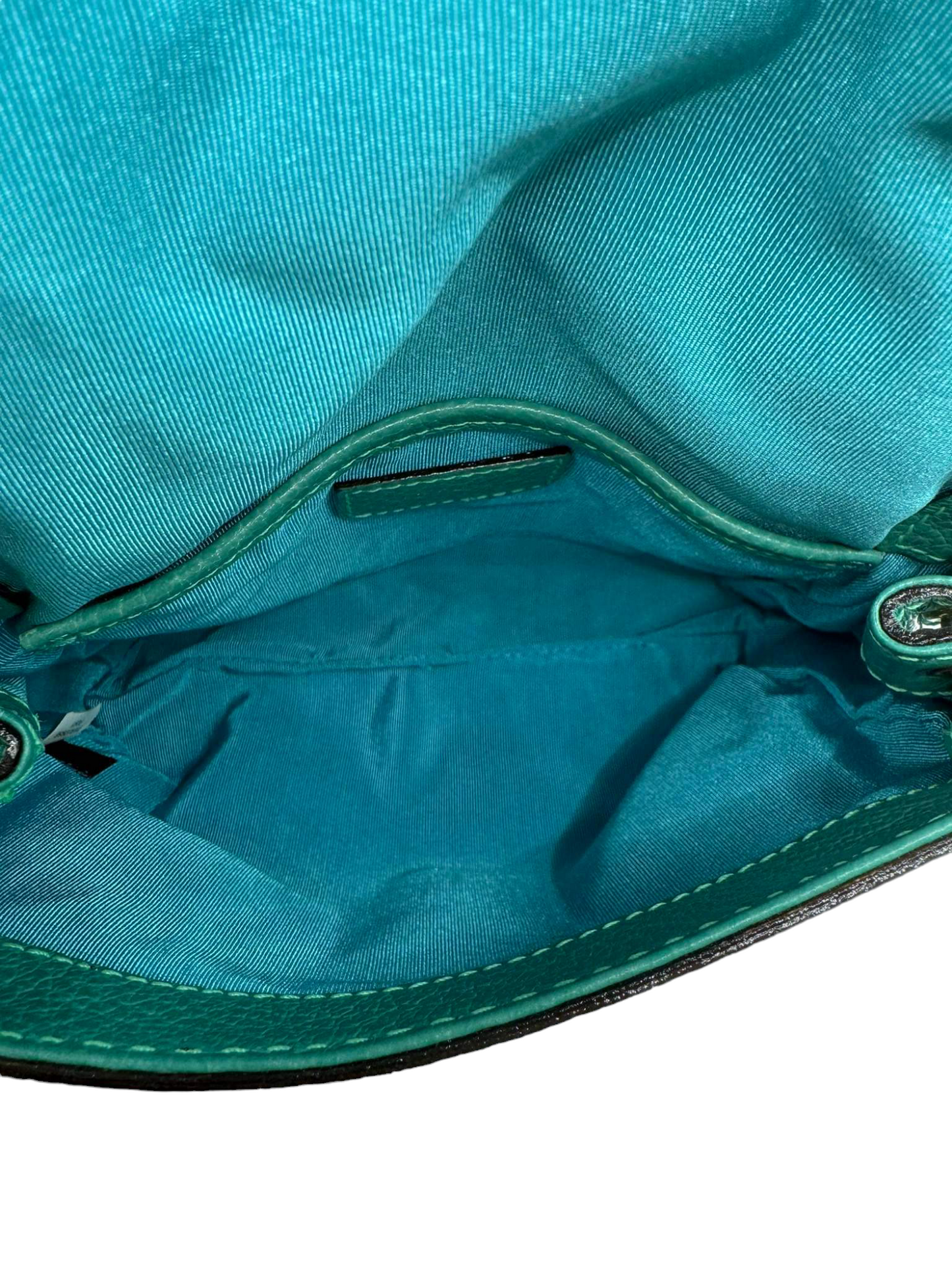 KATE SPADE SHOULDER BAG PXRU0958 LIGHT GREEN STAIN RANK(B)