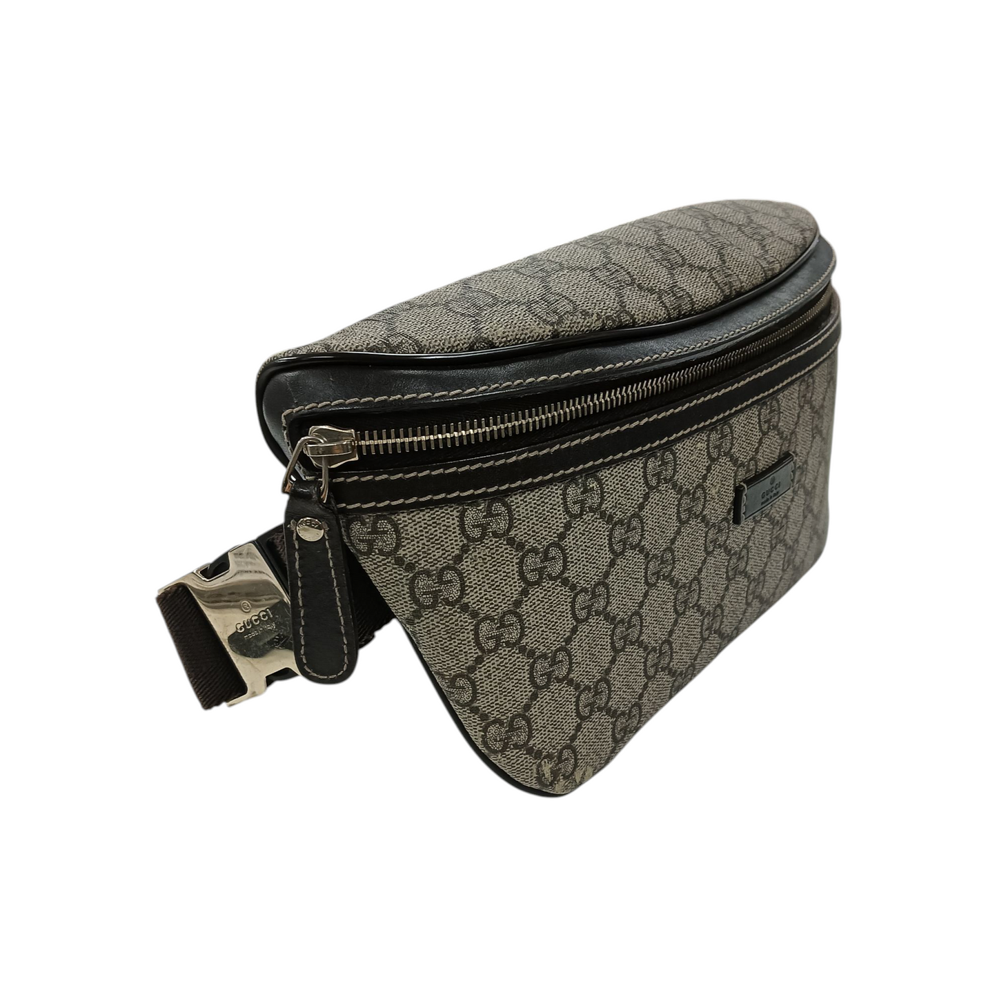 Gucci Waist Bag 233269
