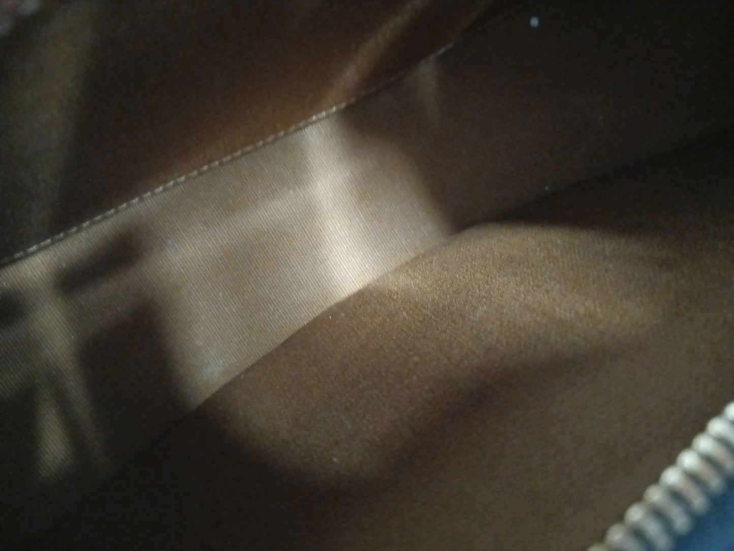 CELINE TRIONPHE BROWN AVA F-GA-2293 F-AT-2283