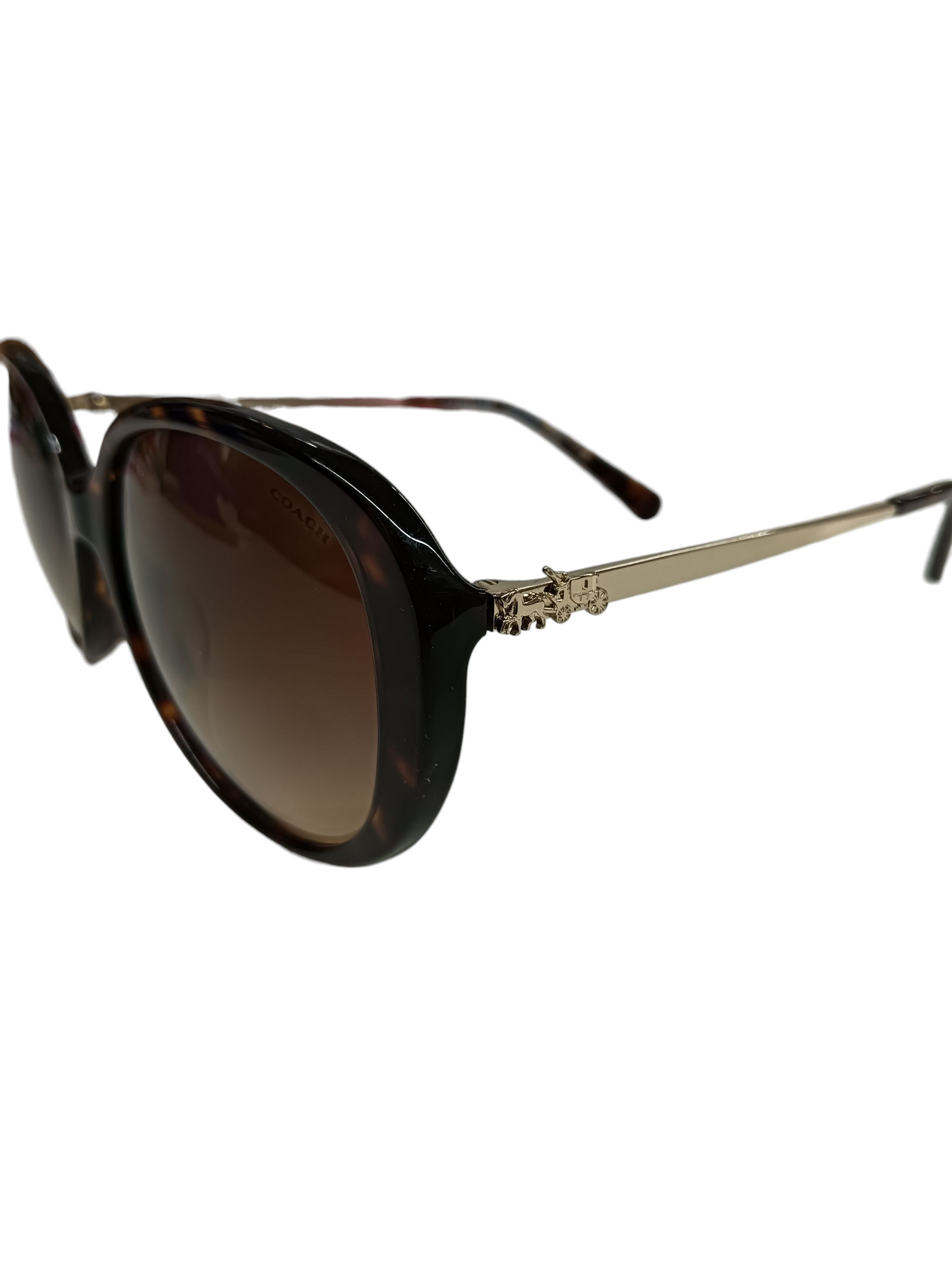 COACH Sunglasses HQ8215 Brown