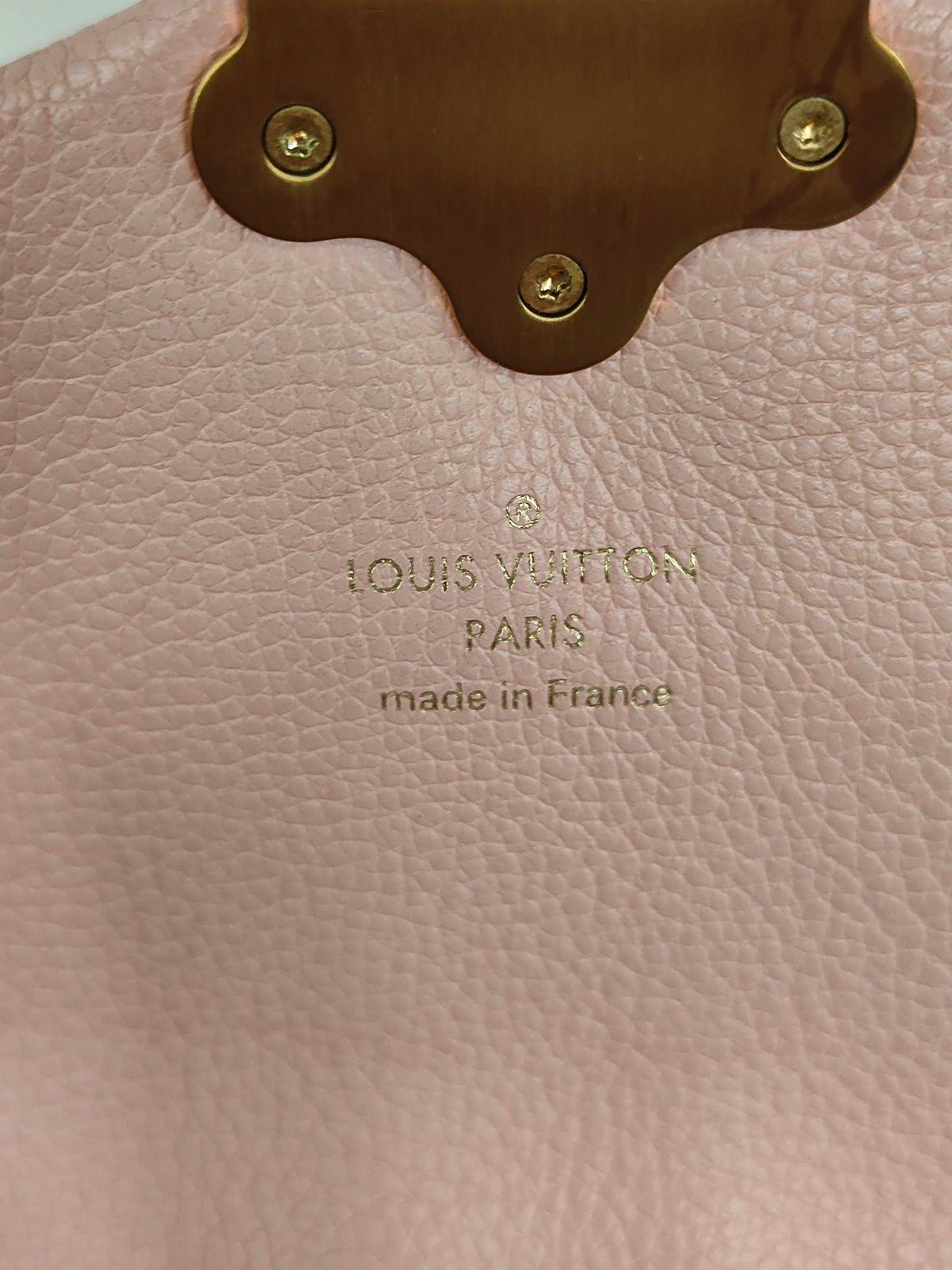 LOUIS VUITTON Rucksack Clapton N42262 SR0168 Brown and Pink Rank(B)