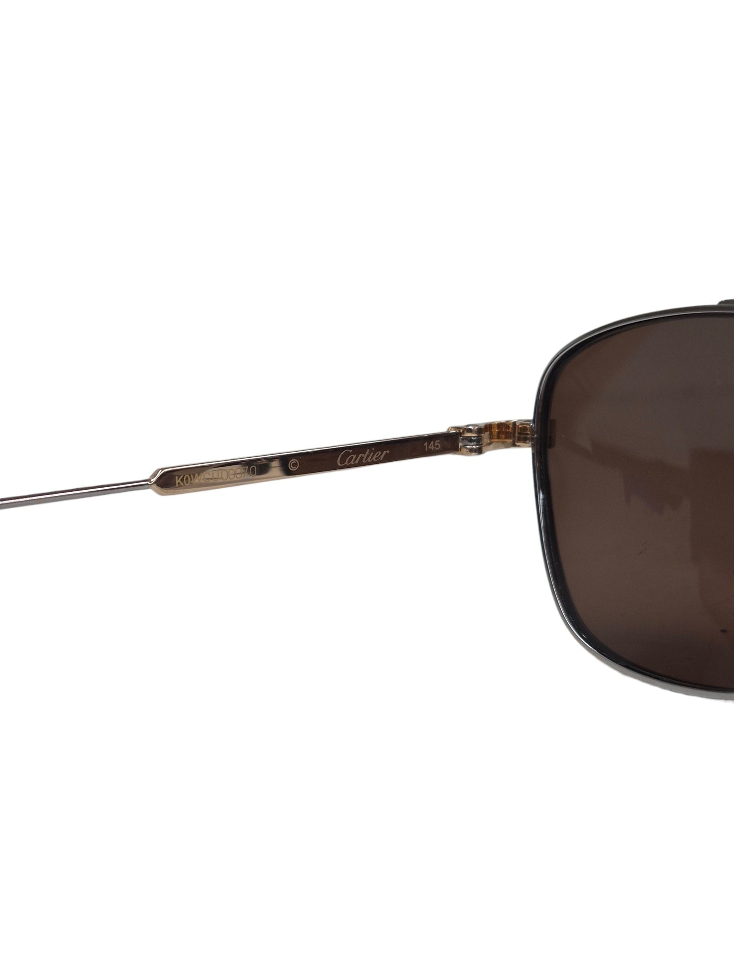Cartier Sunglasses Silver CT0163S