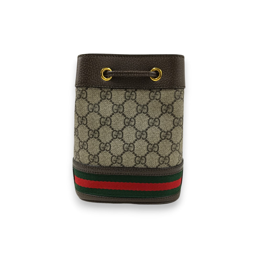 GUCCI Bucket Bag 550620 Rank(B) Brown 213317