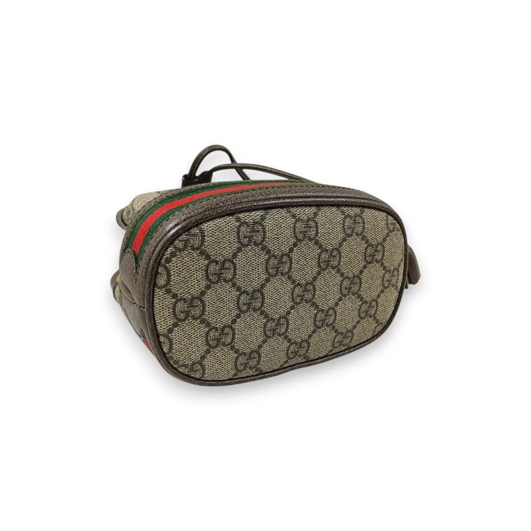 GUCCI Bucket Bag 550620 Rank(B) Brown 213317