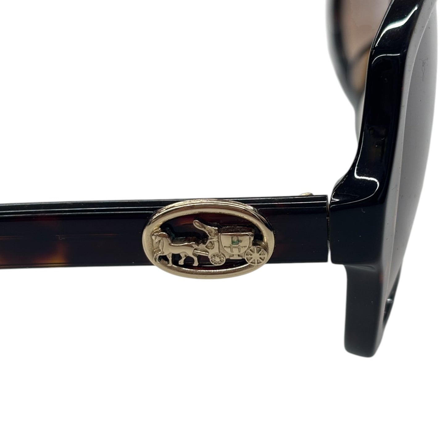 COACH Sunglasses HC8295F Brown