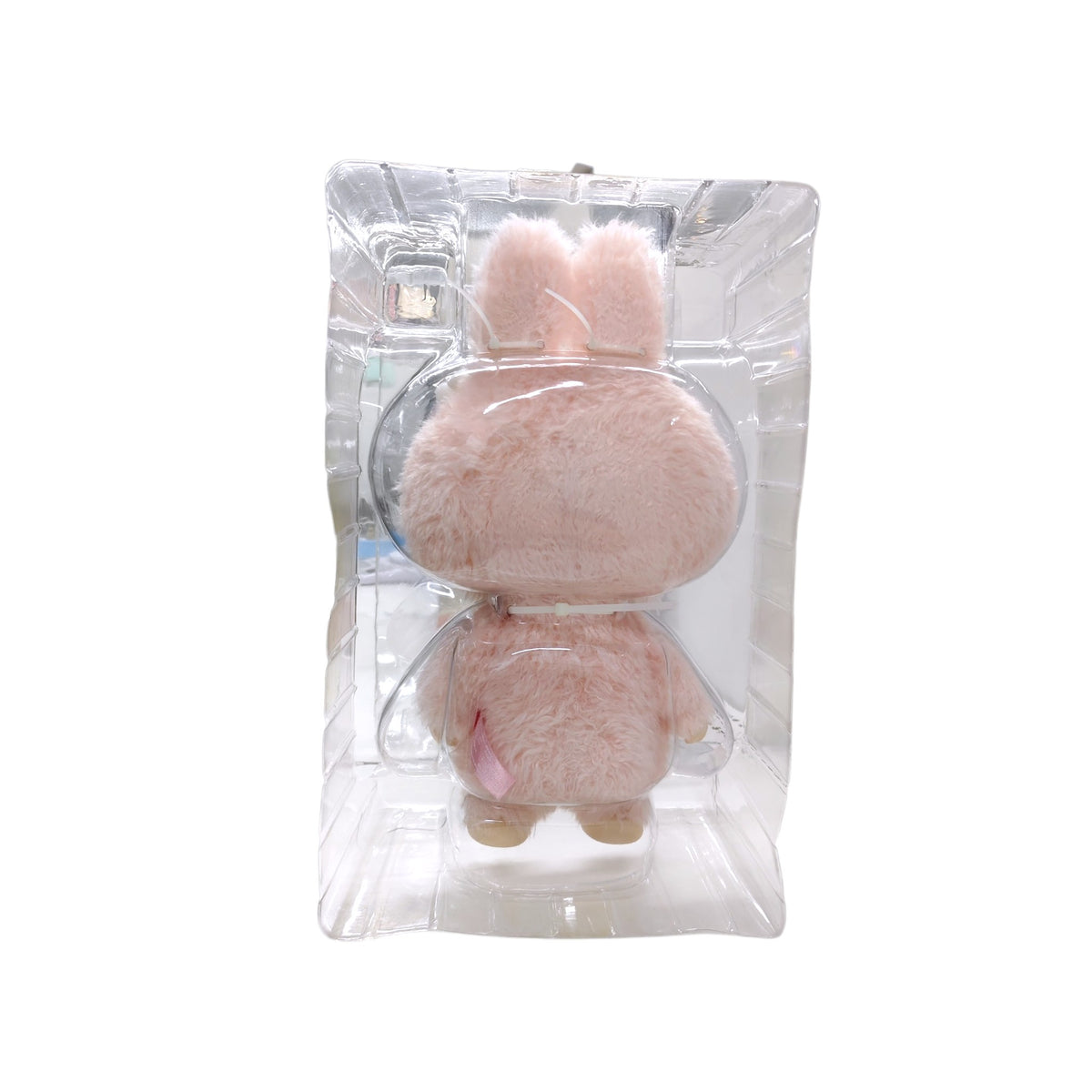 POP LAND Model FALL INTO SPRING Rank B