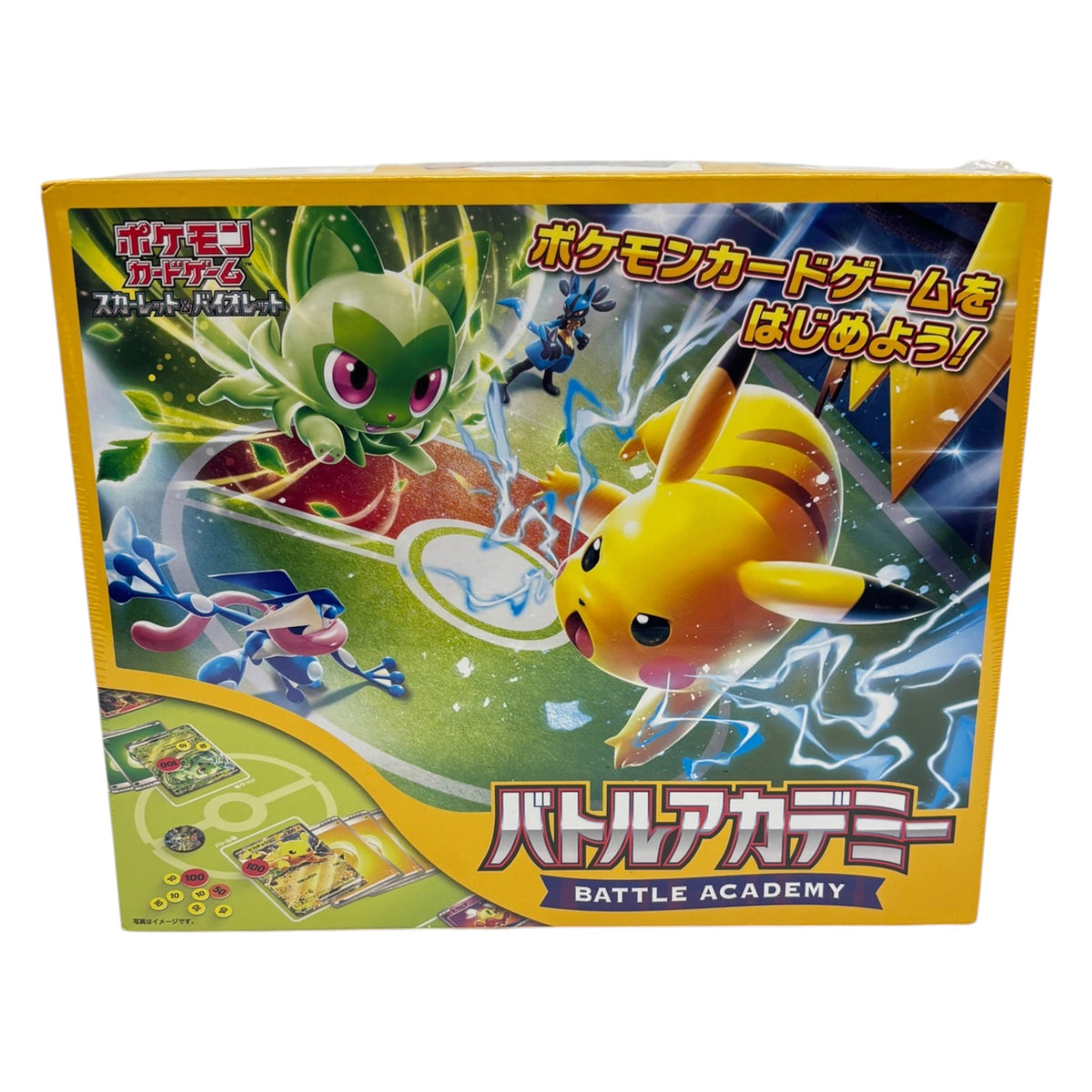 POKEMON Carc Game Battle Academy Unused Item