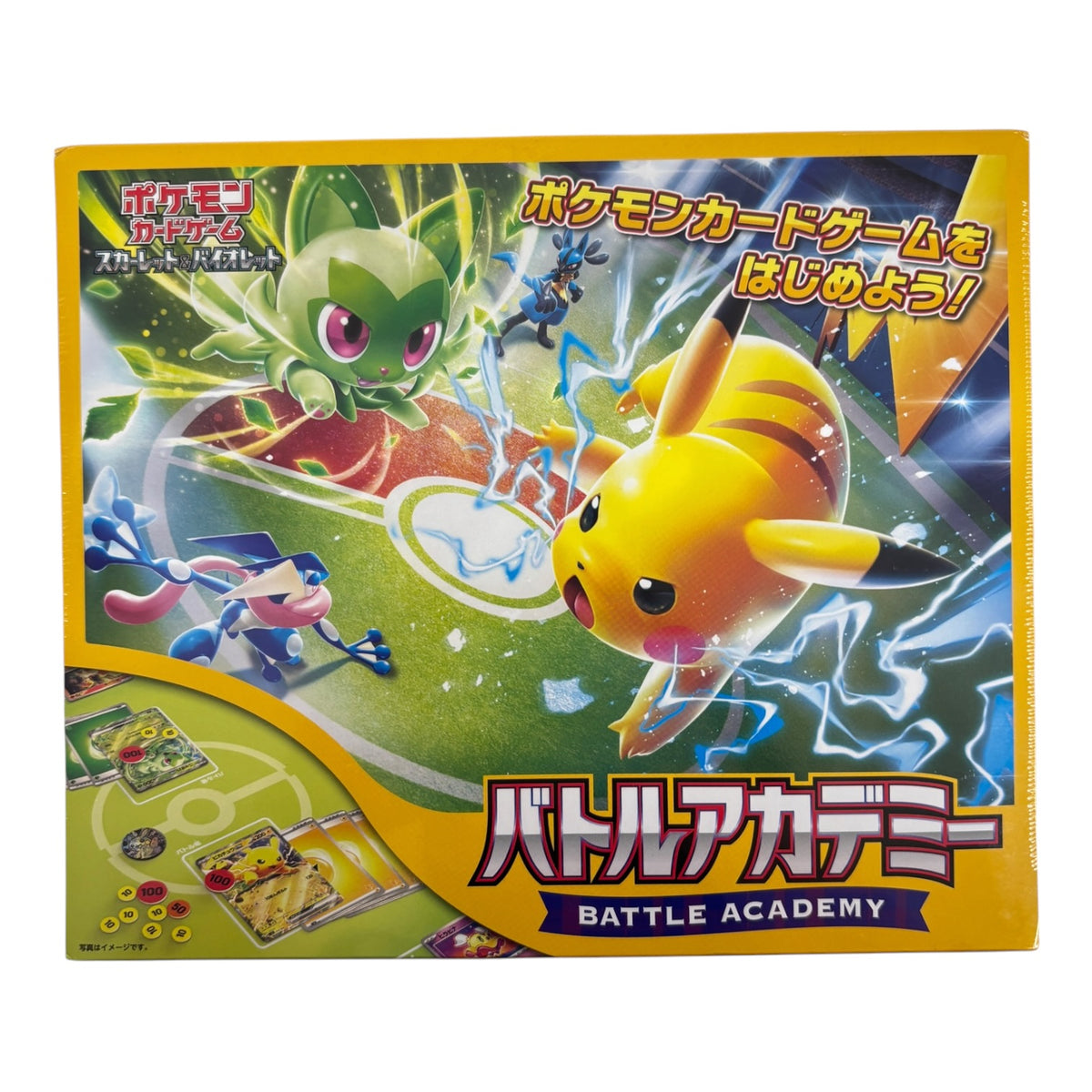 POKEMON Carc Game Battle Academy Unused Item