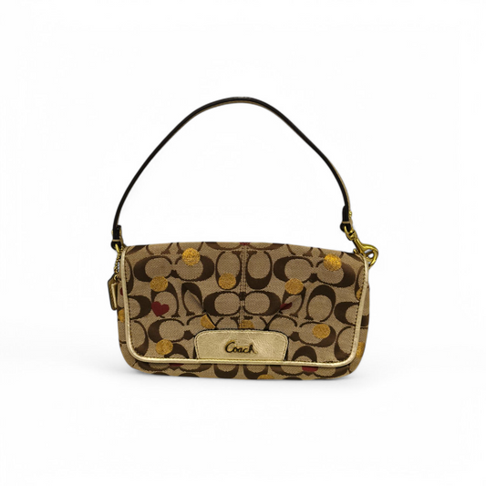 COACH Hand Bag F46934 Brown Rank B
