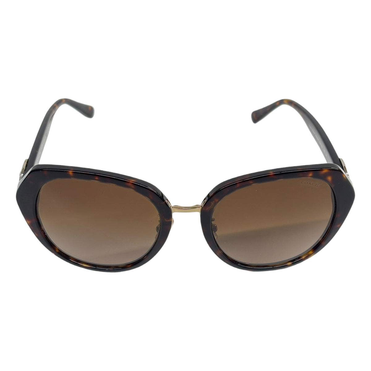 COACH Sunglasses C6189 Brown