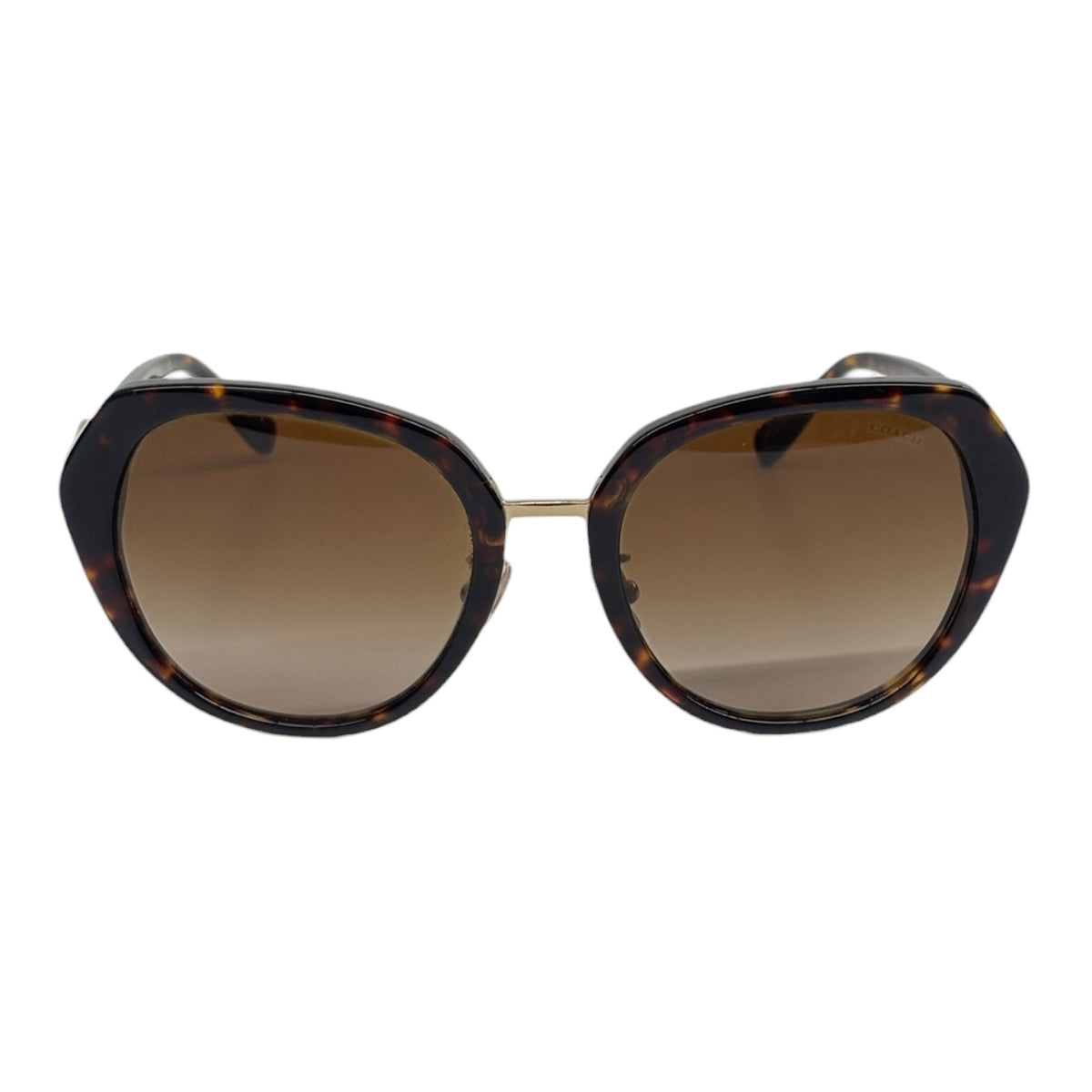 COACH Sunglasses C6189 Brown