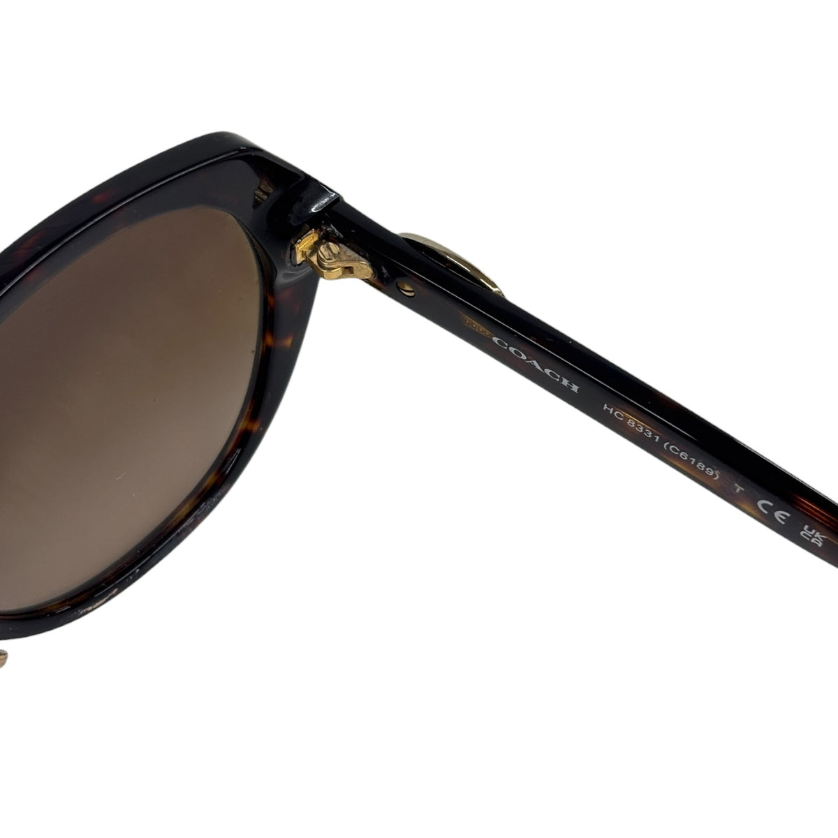 COACH Sunglasses C6189 Brown