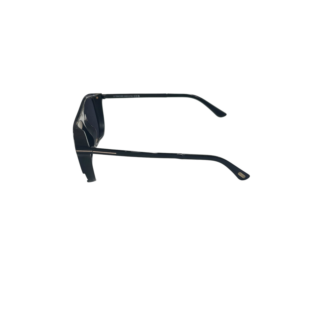 TOM FORD Sunglasses lionel-02 Black