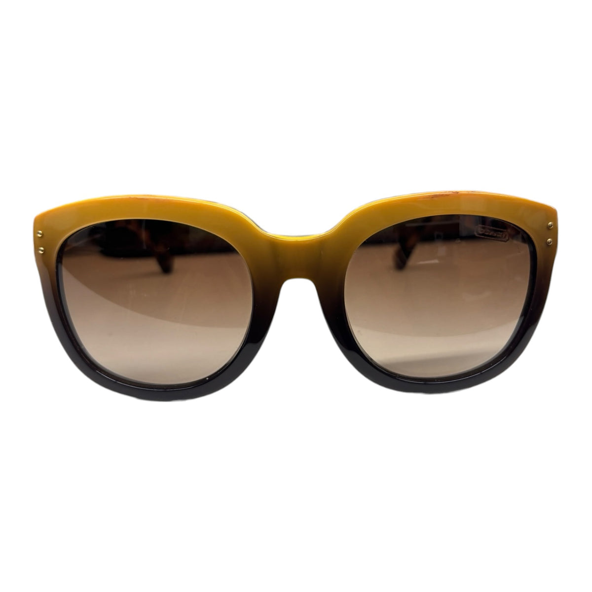 COACH SUNGLASSES HC8047F BROWN