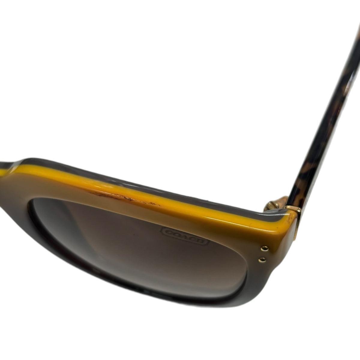 COACH SUNGLASSES HC8047F BROWN