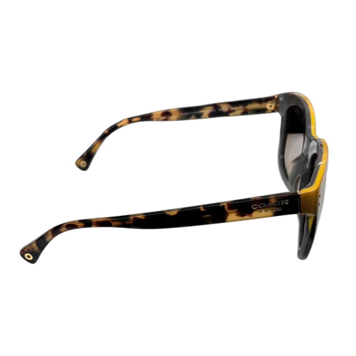 COACH SUNGLASSES HC8047F BROWN