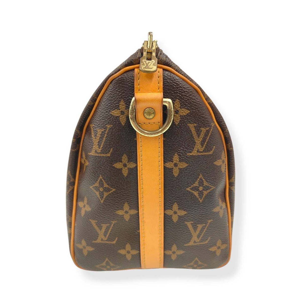 LOUIS VUITTON HANDBAG MONOGRAM BROWN STAIN SPEEDY 25 M41113 RANK (B)