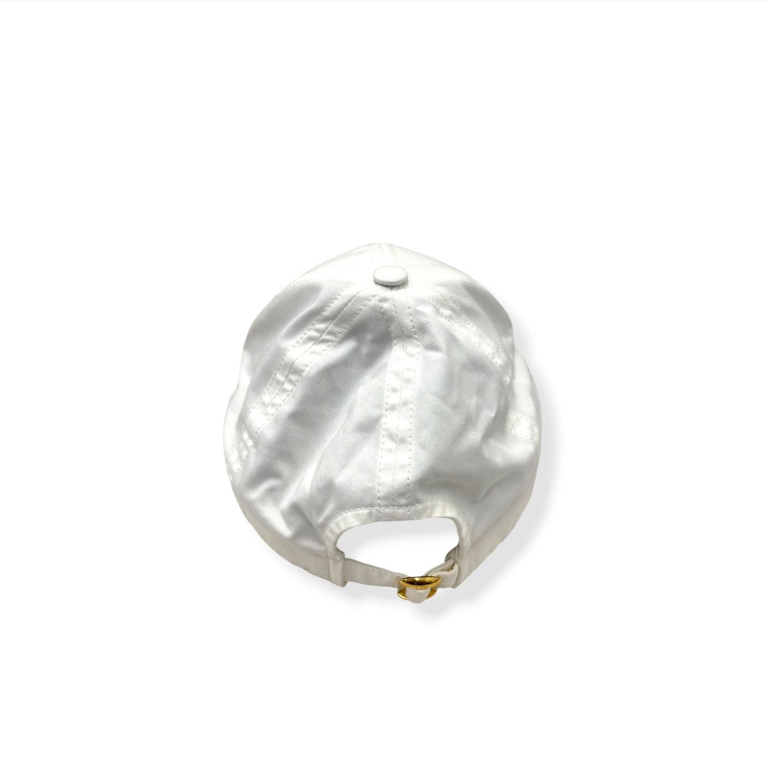 CELINE CAP 2AUT6969P WHITE STAIN RANK (B)