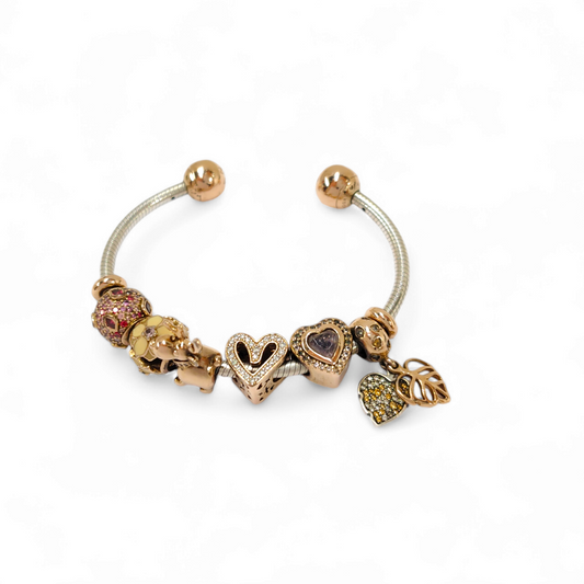 PANDORA CHARM 6 P Rank B *with BOX