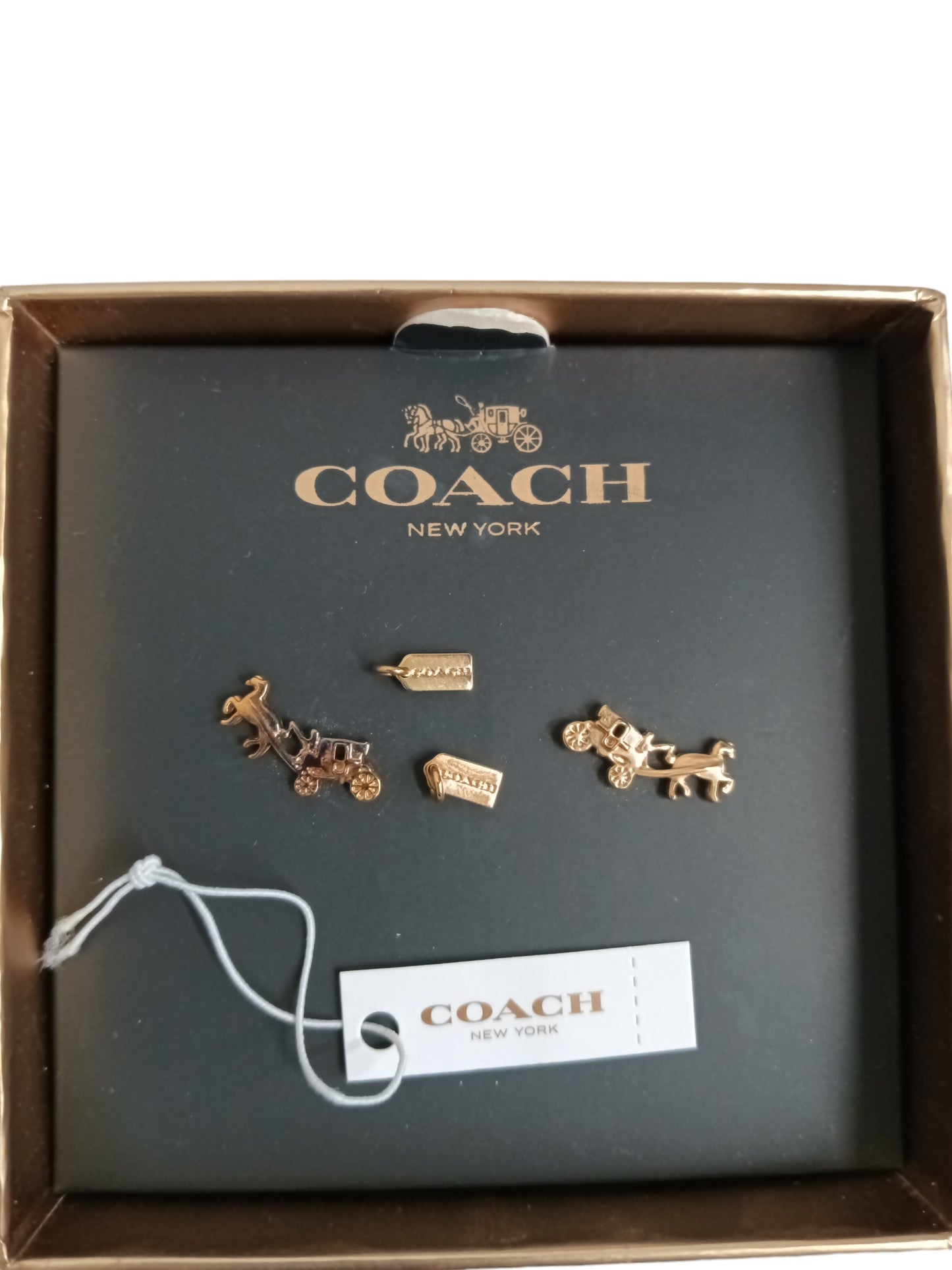 Coach Earring Rank (C) F54895