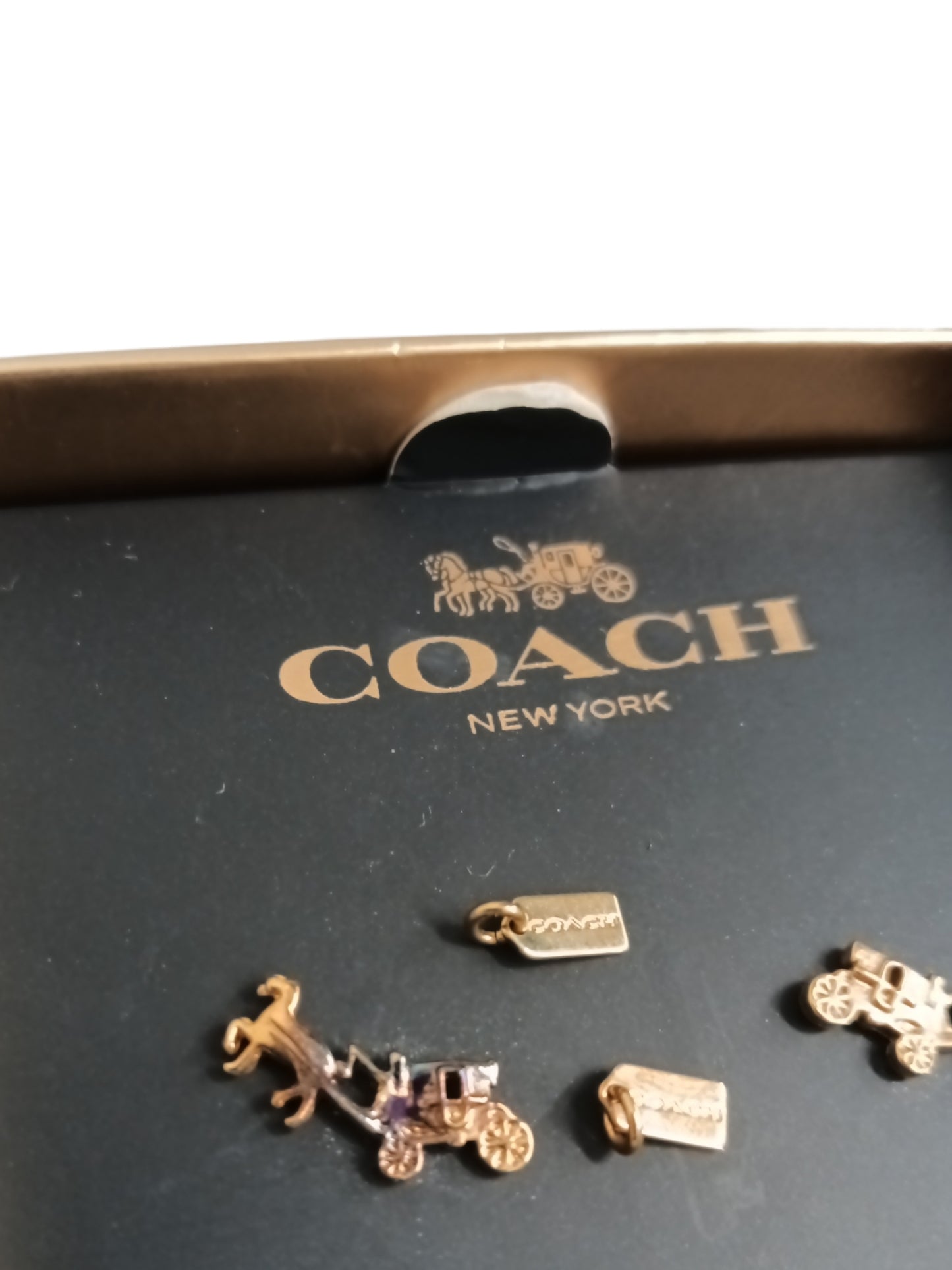 Coach Earring Rank (C) F54895