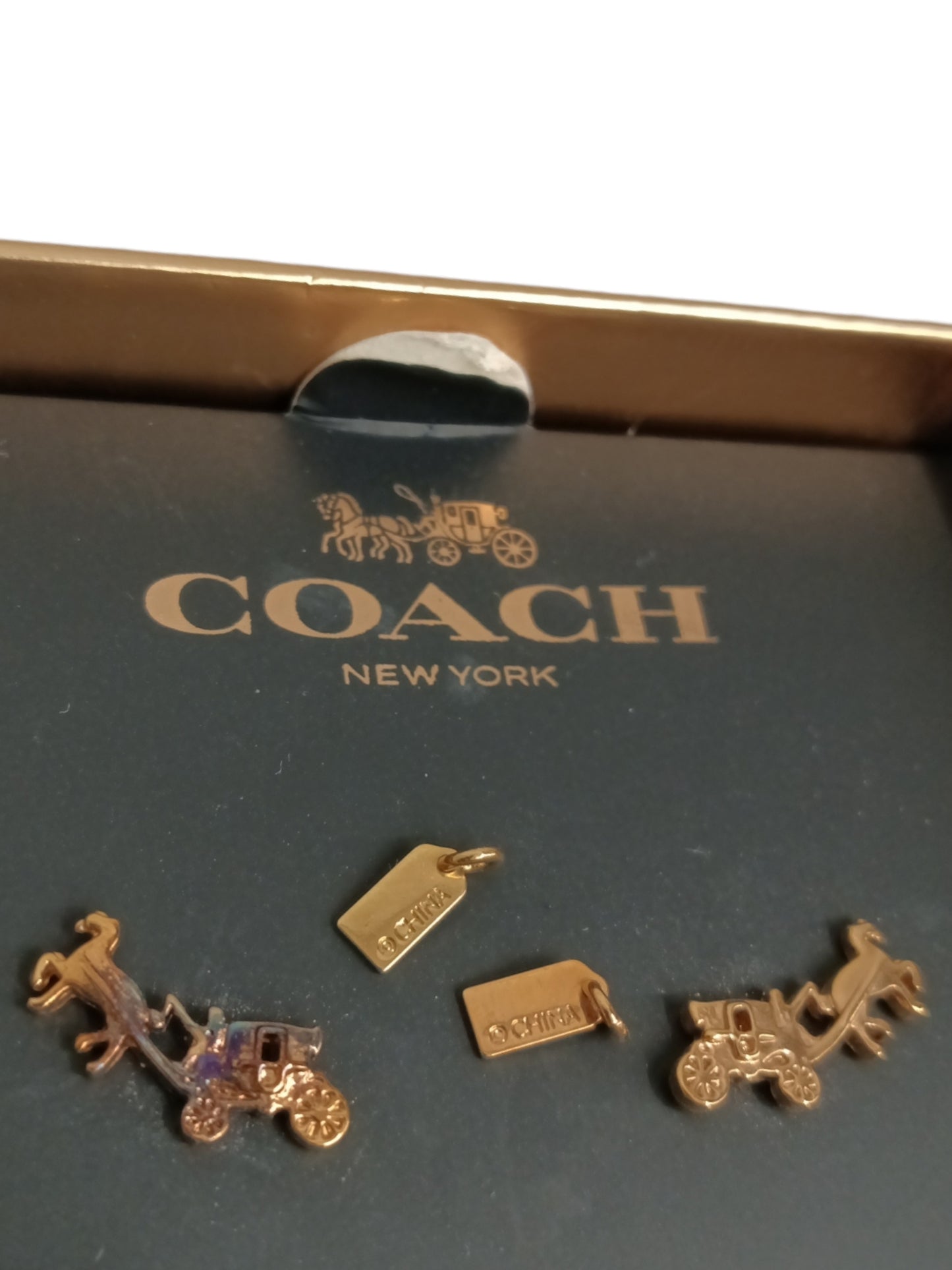 Coach Earring Rank (C) F54895
