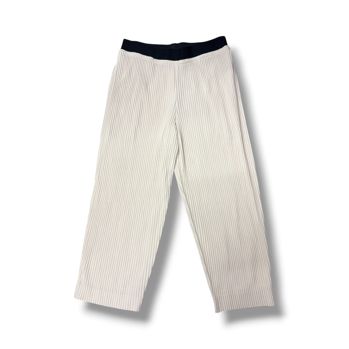 HOMME PLEATS PLEATS Pants Lady's Beige HP86-JF107