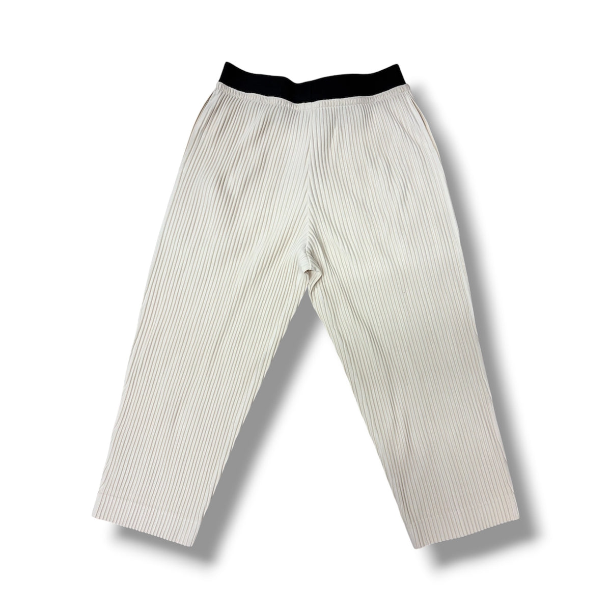 HOMME PLEATS PLEATS Pants Lady's Beige HP86-JF107