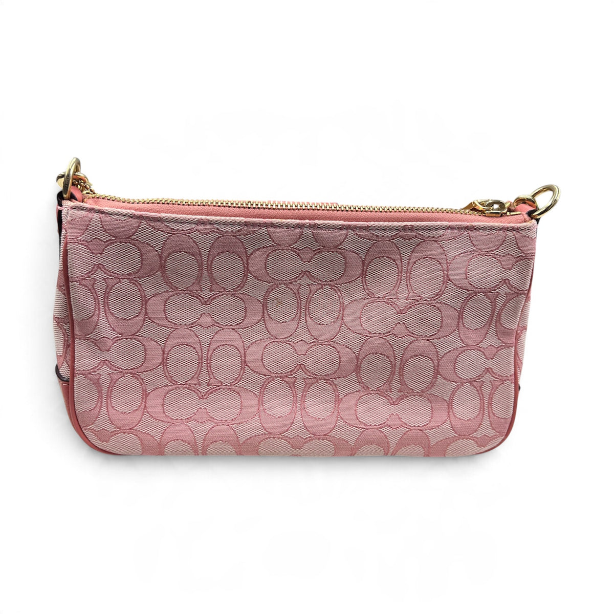 COACH Handbag C8306 Rank (B)