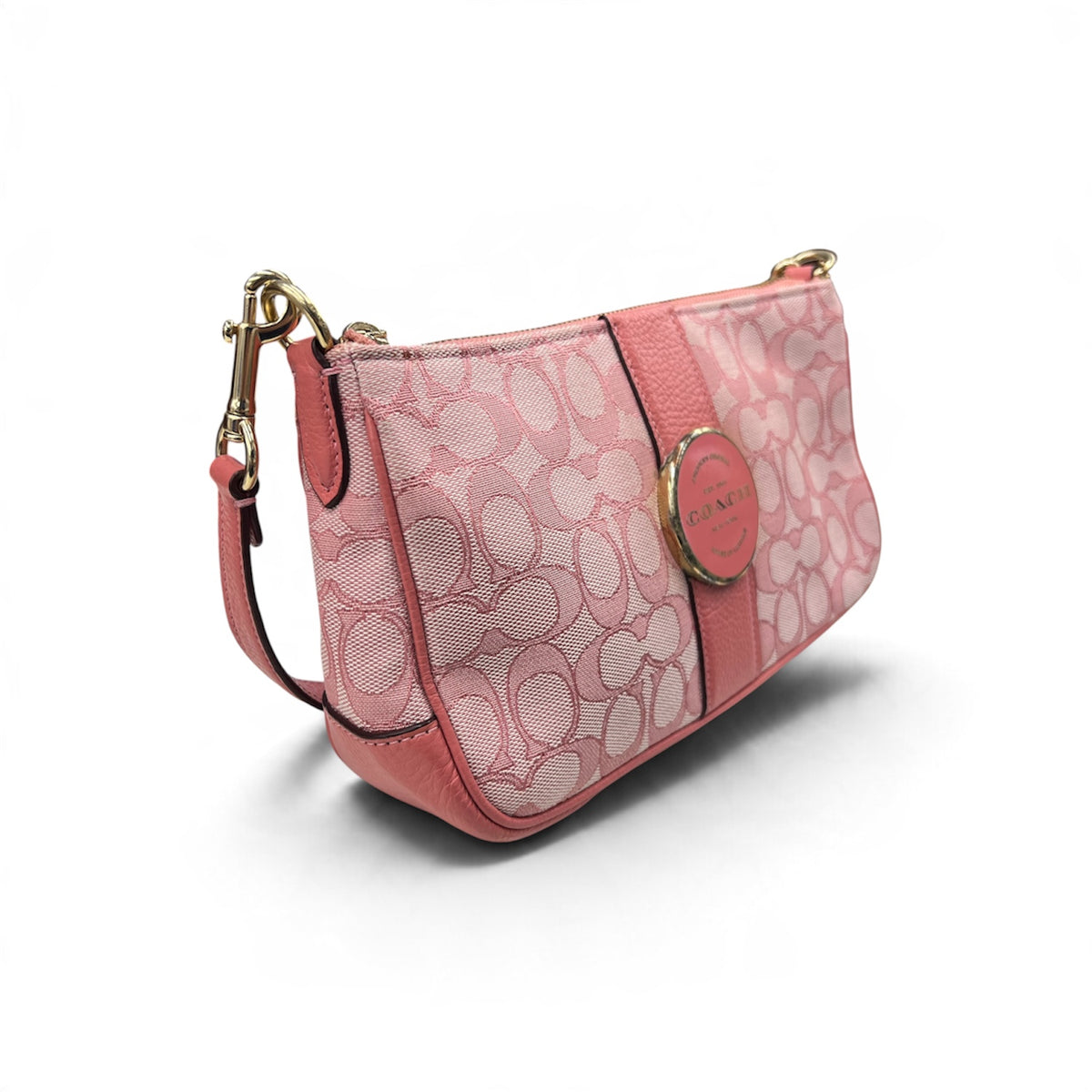 COACH Handbag C8306 Rank (B)