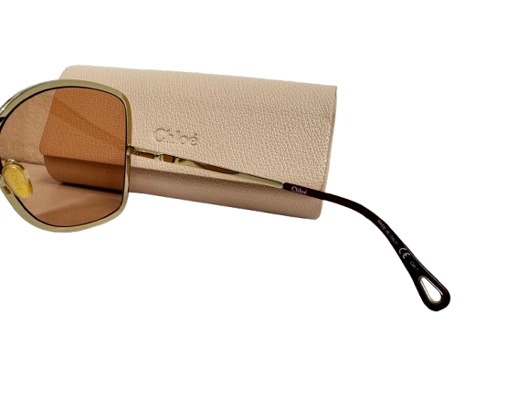 Chloe Sunglasses CH0101S Multi Color Rank (AB)