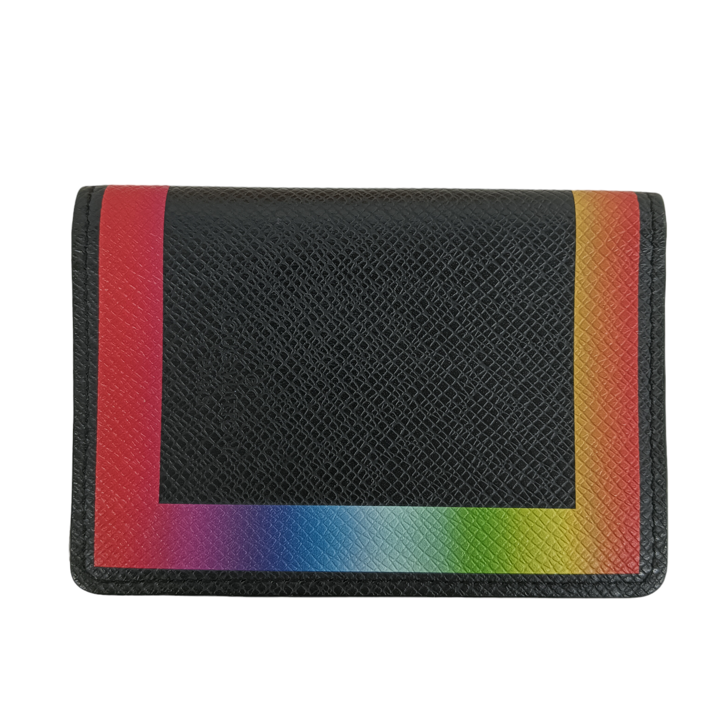 LOUIS VUITTON Pass Case M30348 TAIGA Rainbow