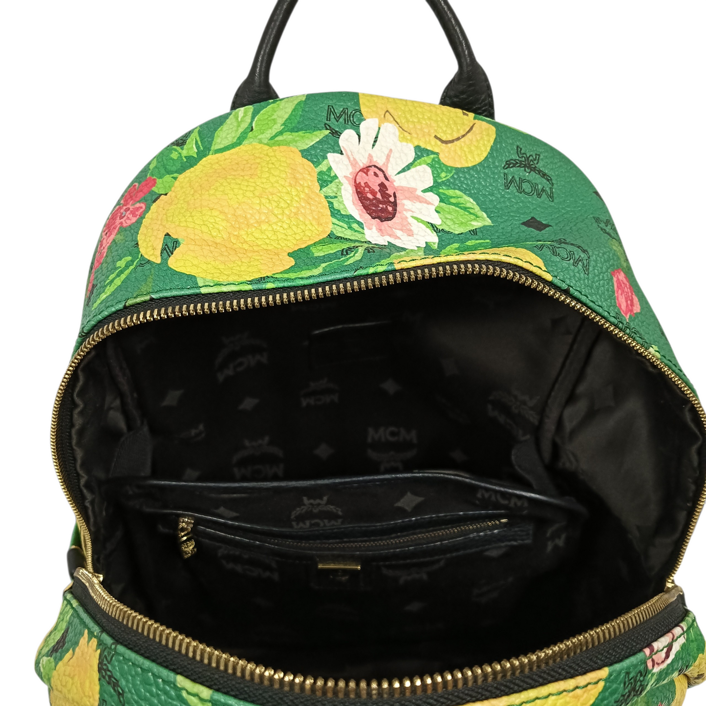 MCM Rucksack MMK45JP90GA001 Black And Green Paradiso