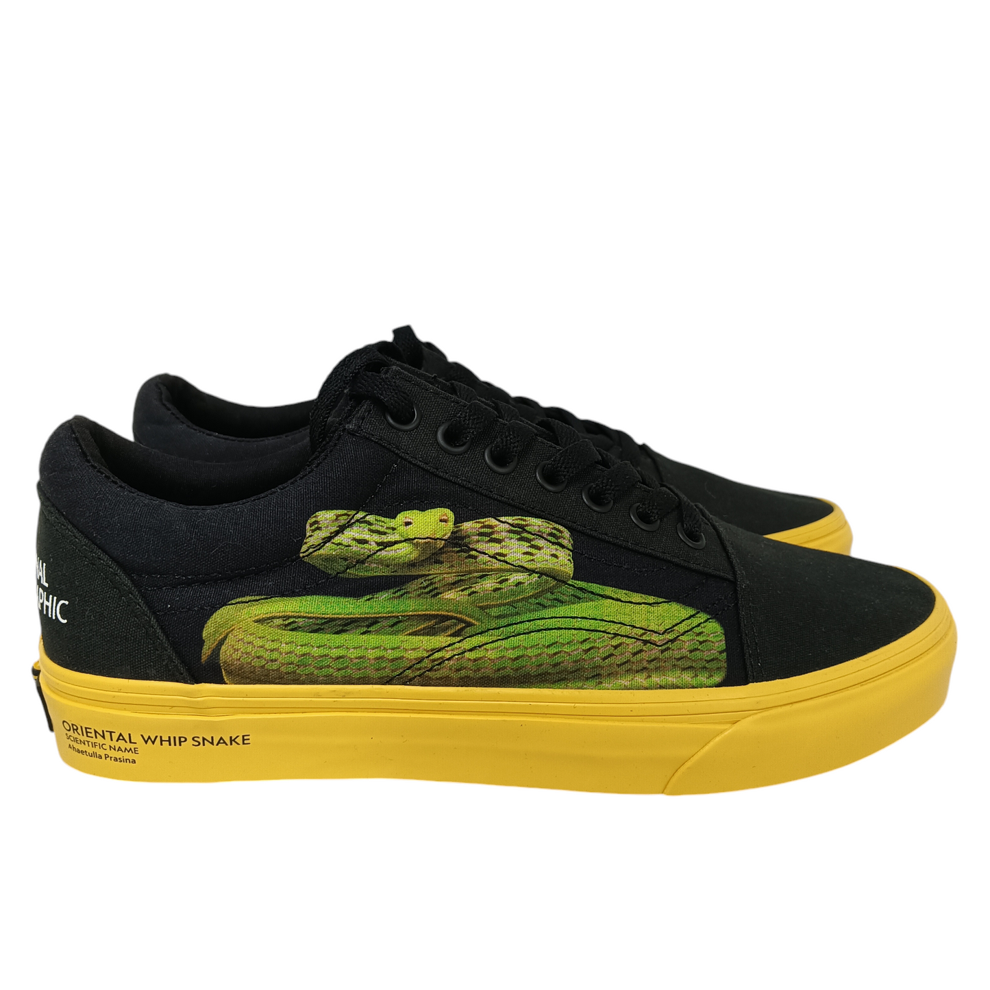 VANS SNEAKER 8US VNOA4U3BWK6 MENS BLACK/YELLOW RANK (A) NATIONAL GEOGRAPHIC OLD S