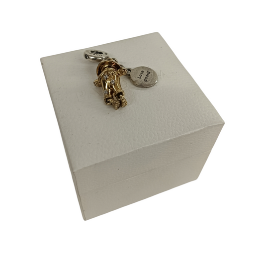 PANDORA Charm Love Guard