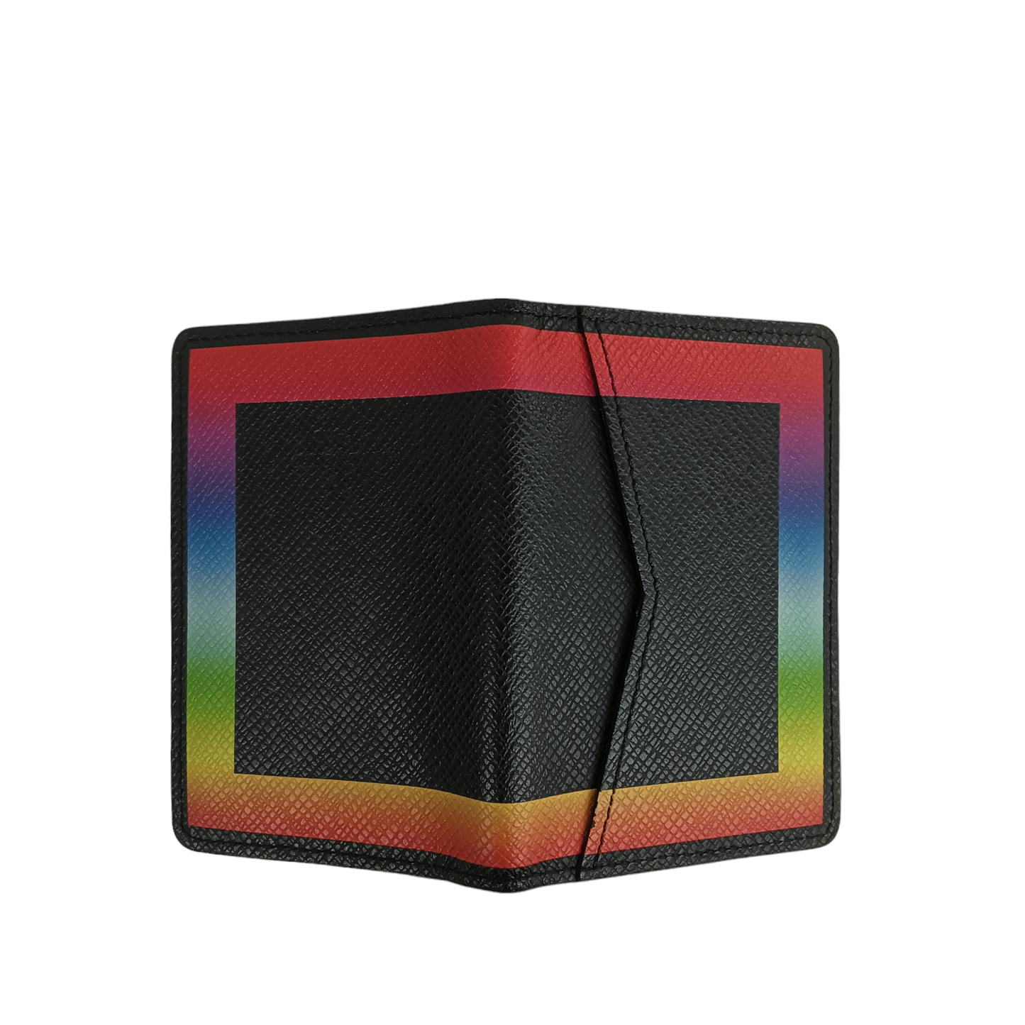 LOUIS VUITTON Pass Case M30348 TAIGA Rainbow