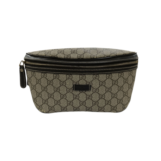 Gucci Waist Bag 233269