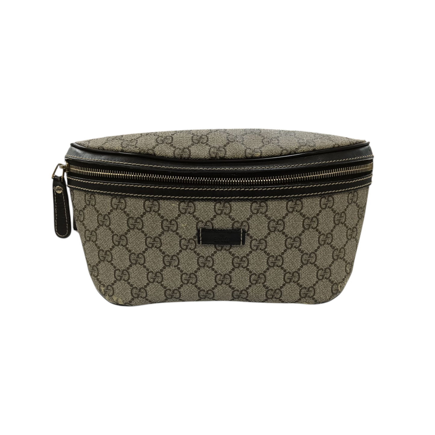 Gucci Waist Bag 233269