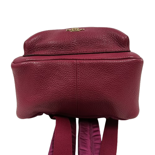 COACH Rucksack F38263 Purple