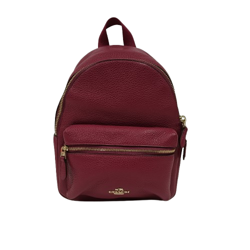 COACH Rucksack F38263 Purple