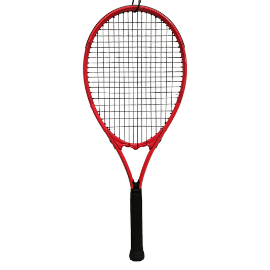 WILSON Regulation Racket PRO STAFF