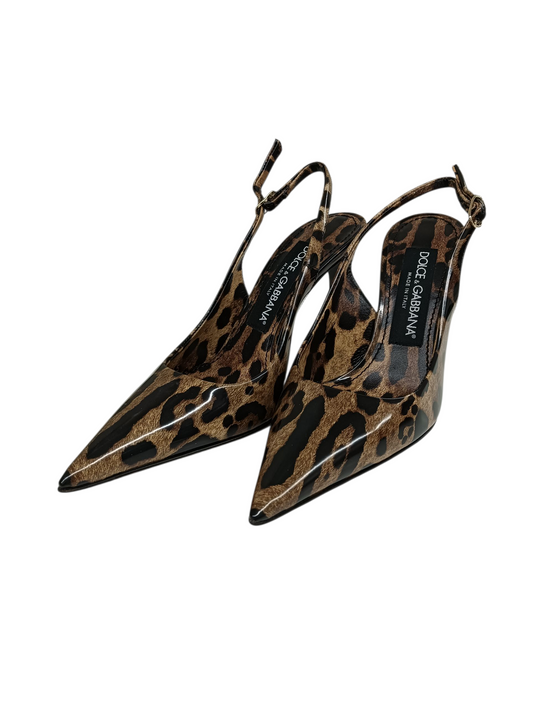 DOLCE & GABBANA Pumps Size 35 Lady's Brown CG0621