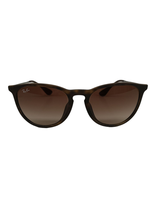 RAY BAN Sunglasses RB4171 Brown